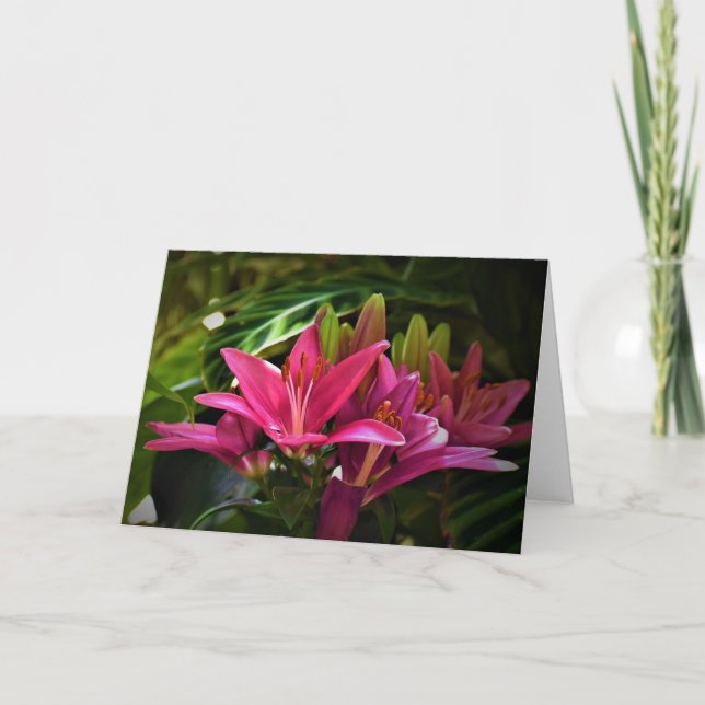 Lily, carte (Devant)