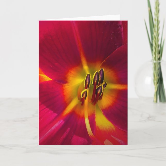 Lily, carte (Devant)