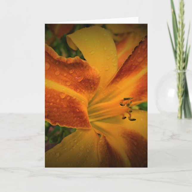 Lily, carte (Devant)