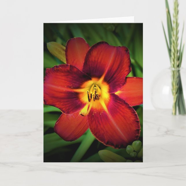 Lily, carte (Devant)