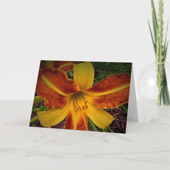 Lily, carte (Devant)