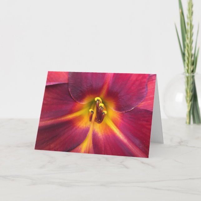 Lily, carte (Devant)