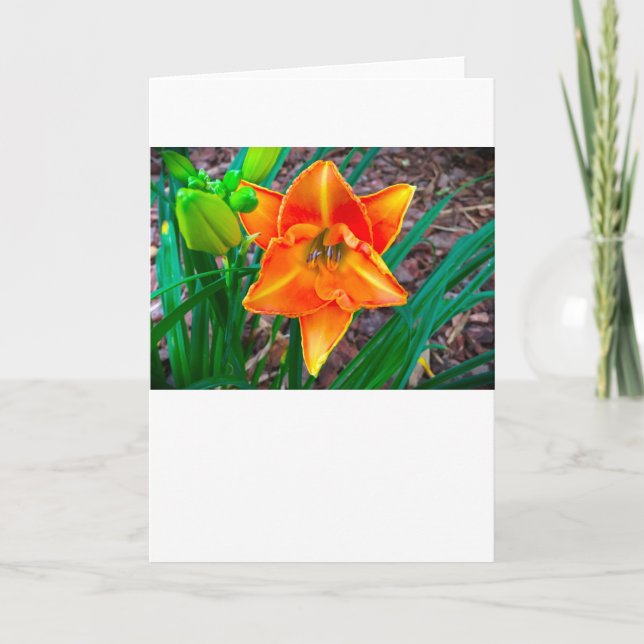 Lily, carte (Devant)