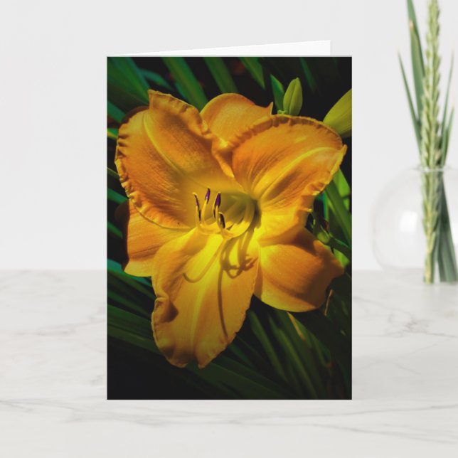 Lily, carte (Devant)