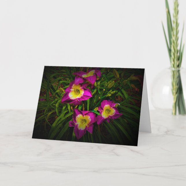 Lily, carte (Devant)