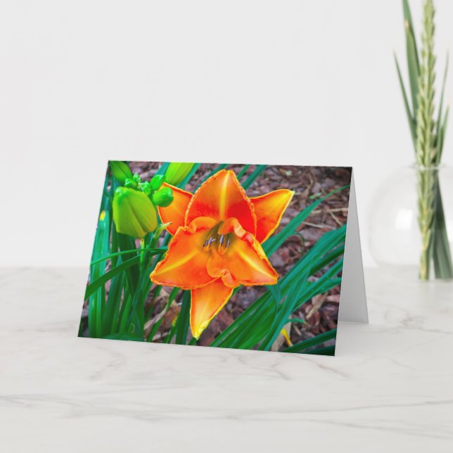 Lily, carte (Devant)