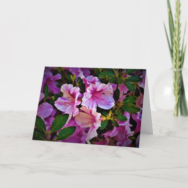Lily, carte (Devant)