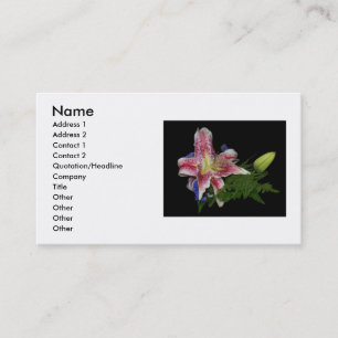 Lily Carte de visite