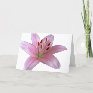 Lily - Carte de voeux vierge