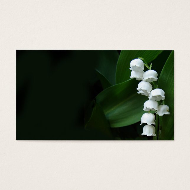 Lily de la carte de profil Valley (Devant)