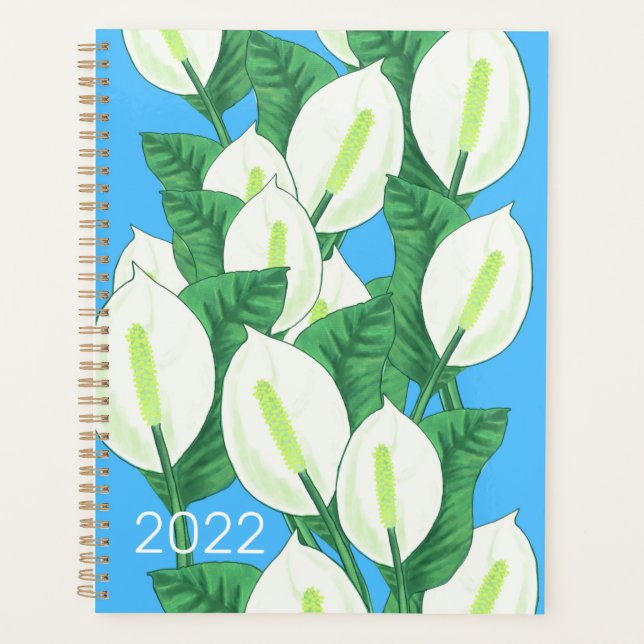 Lily de la paix 2022 (Devant)