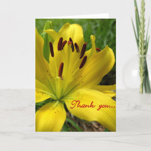 Lily Floral Merci