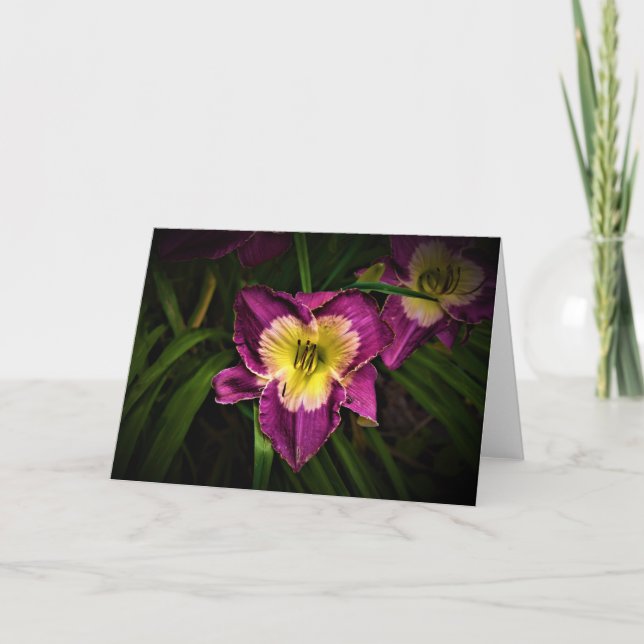 Lily & Ladybug, carte (Devant)