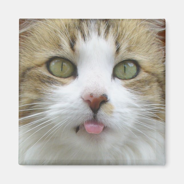 Lily Magnet 003 (Devant)