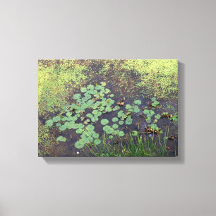 Lily Pad sur toile