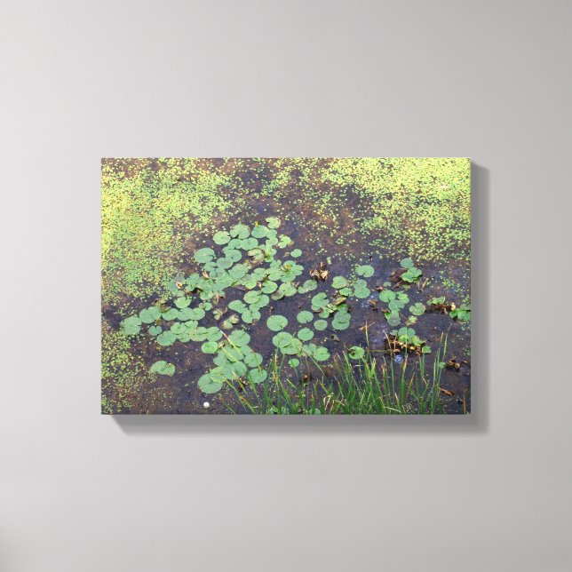 Lily Pad sur toile (Recto)