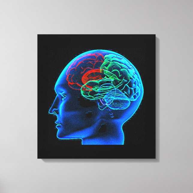 L'impression en toile étirée du cerveau humain (Recto)