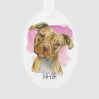 L'inclinaison | de tête de chien de Pitbull
