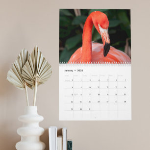 L'incroyable calendrier de Flamants roses Choisiss
