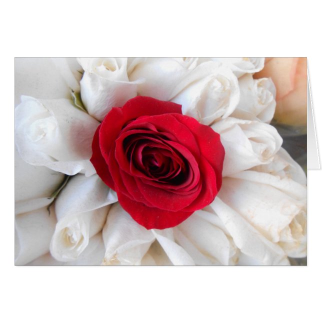 Lindegren (Devant horizontal)