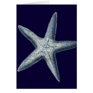 L'indigo écosse IV