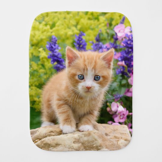 Linge De Bebe Chaton Mignon De Chat De Gingembre En Portrait Zazzle Fr