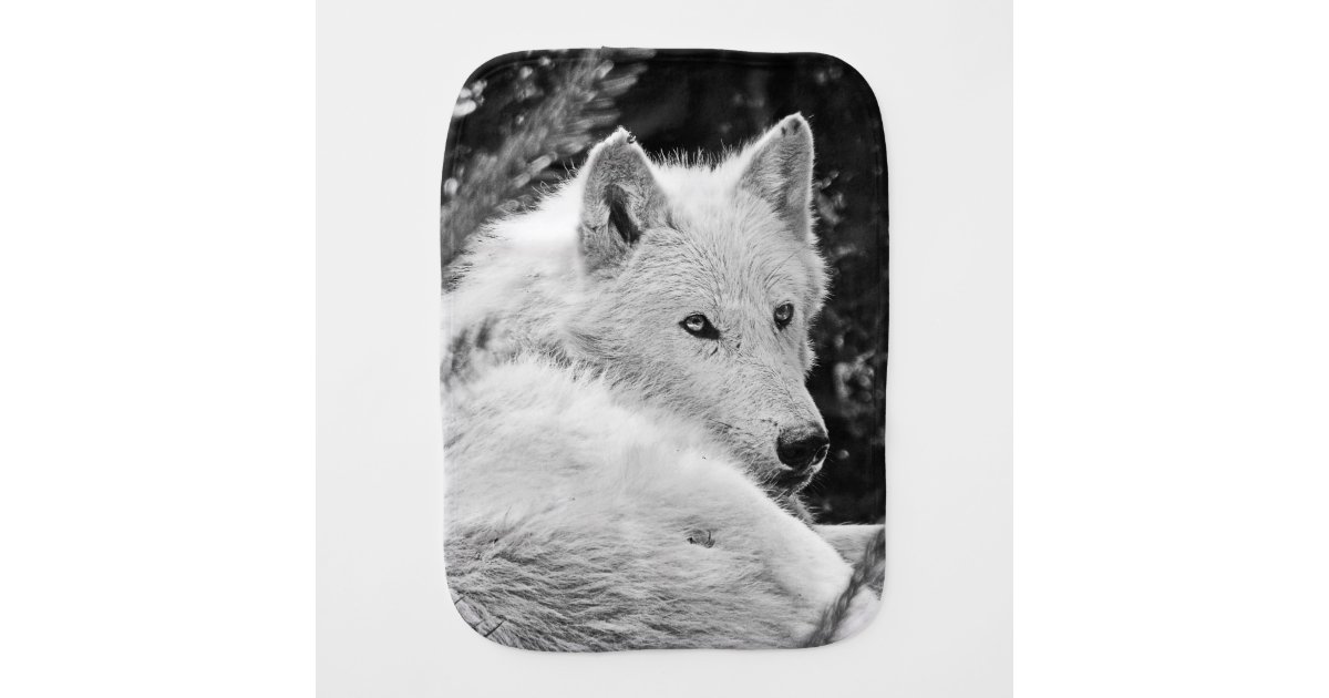 Linge De Bebe Loup Blanc Renversant Zazzle Fr