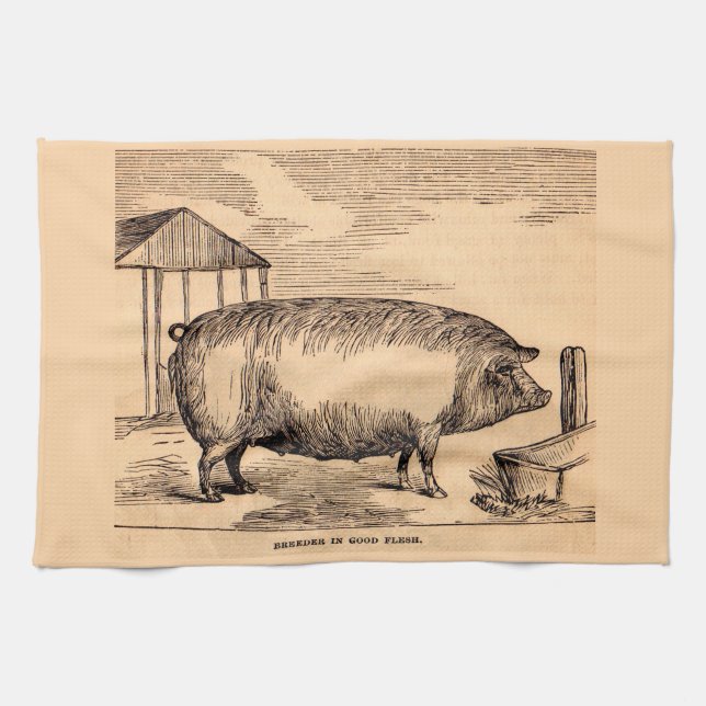 Linge De Cuisine 19th century pit 'Breeder in Good Flesh' (Horizontal)