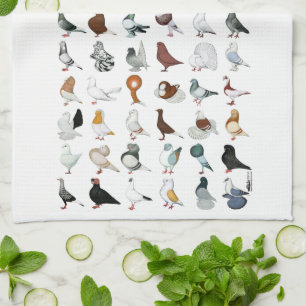 Linge De Cuisine 36 races de pigeon