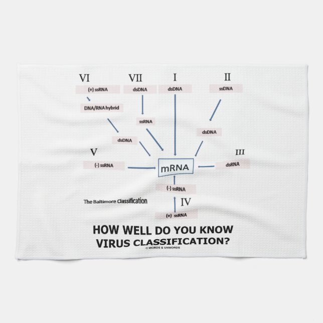 Linge De Cuisine À quel point savez-vous la classification de virus (Horizontal)