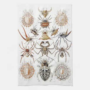 Linge De Cuisine Academia Noire Haeckel Vintage Araignée Symétrie A