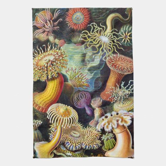 Linge De Cuisine Actiniae par Ernst Haeckel (Vertical)