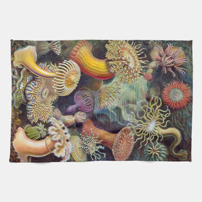 Linge De Cuisine Actinie d'Ernst Haeckel Actiniaea (Horizontal)