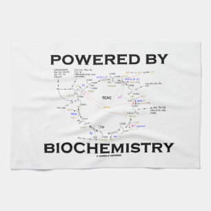 Linge De Cuisine Actionné par la biochimie (cycle de Krebs)