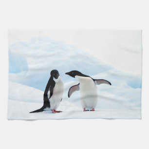Linge De Cuisine Adelie Penguins