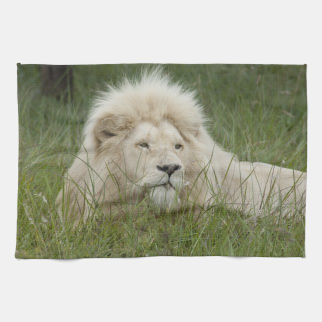 Linge De Cuisine Afrique du Sud, East London, Inkwenkwezi Private (Horizontal)