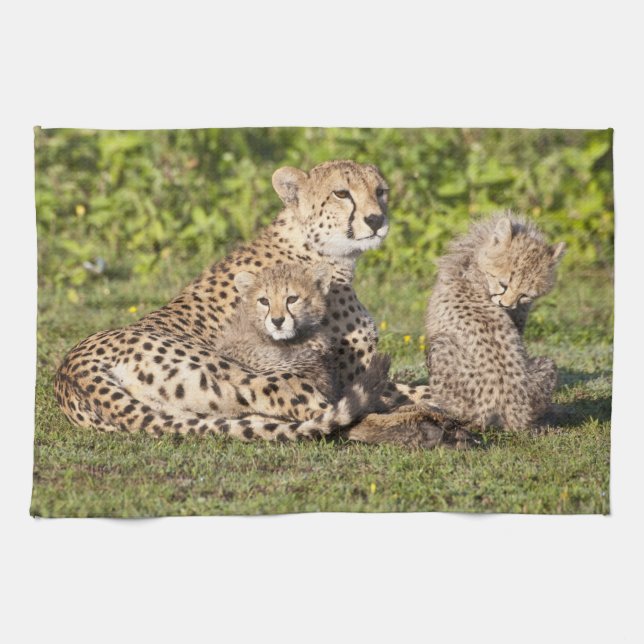 Linge De Cuisine Afrique. Tanzanie. Guépierre mère et petits 2 (Horizontal)