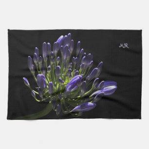Linge De Cuisine Agapanthus pourpre de floraison ensoleillé, lis