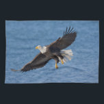 Linge De Cuisine Aigle à tête blanche en vol<br><div class="desc">Aigle à tête blanche,  Homer,  sud de l'Alaska central</div>