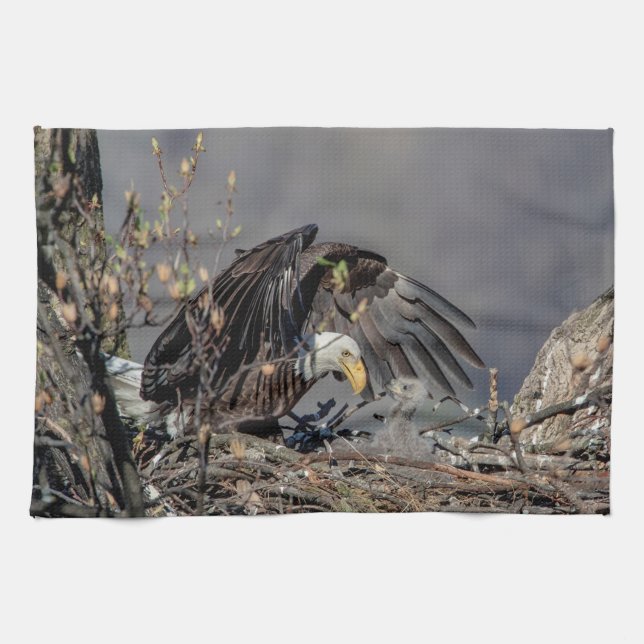 Linge De Cuisine Aigle avec son bébé (Horizontal)