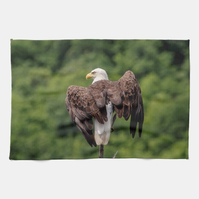 Linge De Cuisine Aigle de Bald sur une branche (Horizontal)