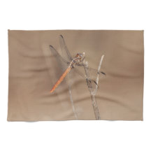 Ailes de libellules d'or