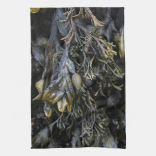 Linge De Cuisine Algue