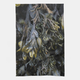 Linge De Cuisine Algue