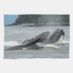 Linge De Cuisine Alimentation des baleines à bosse