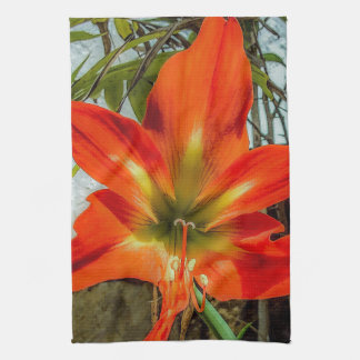 Linge De Cuisine Amaryllis Closeup Kitchen Towels