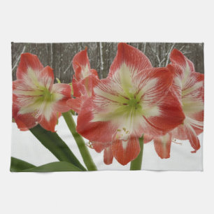 Linge De Cuisine Amaryllis en Fête Rouge Neige Hiver Floral