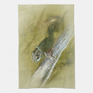 Linge De Cuisine American Bullfrog - Rana catesbeiana