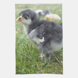 Linge De Cuisine animal, poulet, ferme, mignonette, oiseau, bébé,