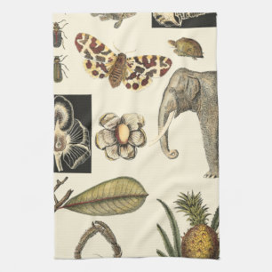 Linge De Cuisine Animaux assortis peints sur l'arrière - plan crème
